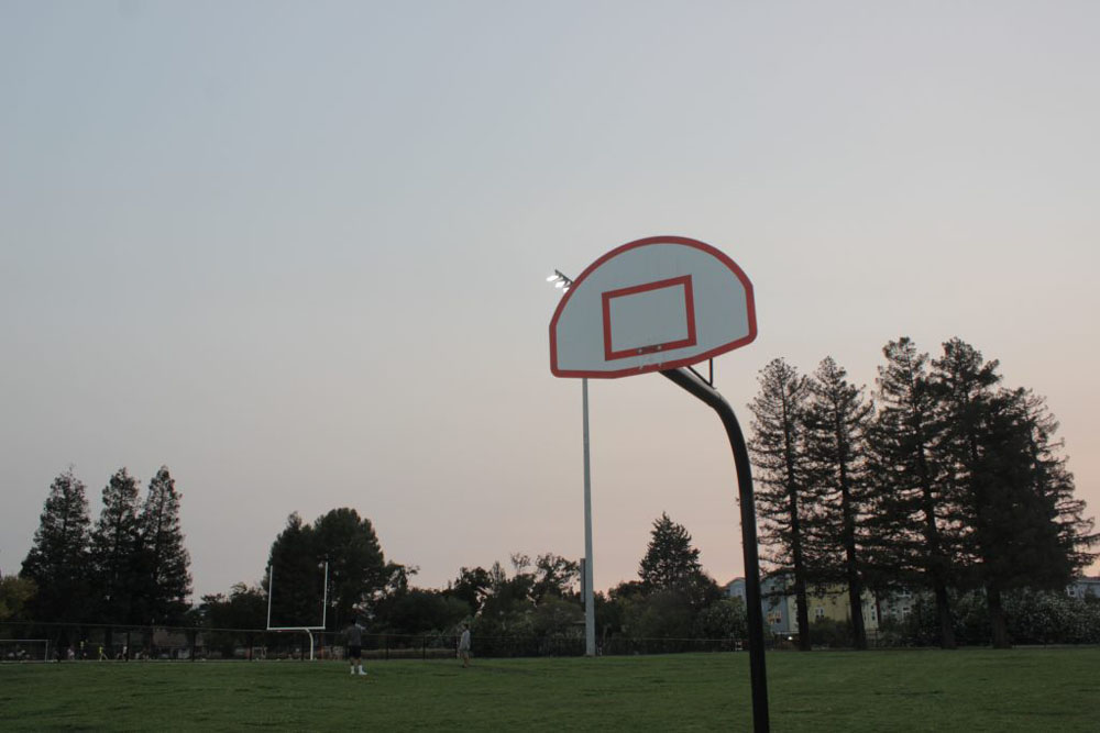 Basketball hoop without net with sunset and tall trees in background