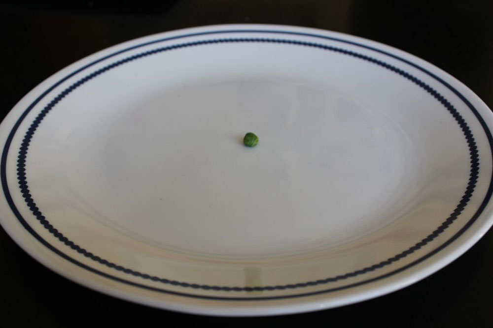 one single pea in the middle of a large round plate