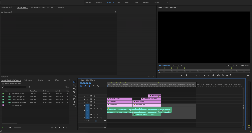 A screenshot of a Premiere Pro Project for the photo haiku.