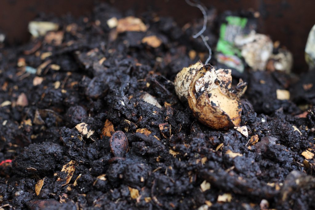 A close up photo of compost in a compost bin. There is an eggshell sitting on top of all the gross compost.