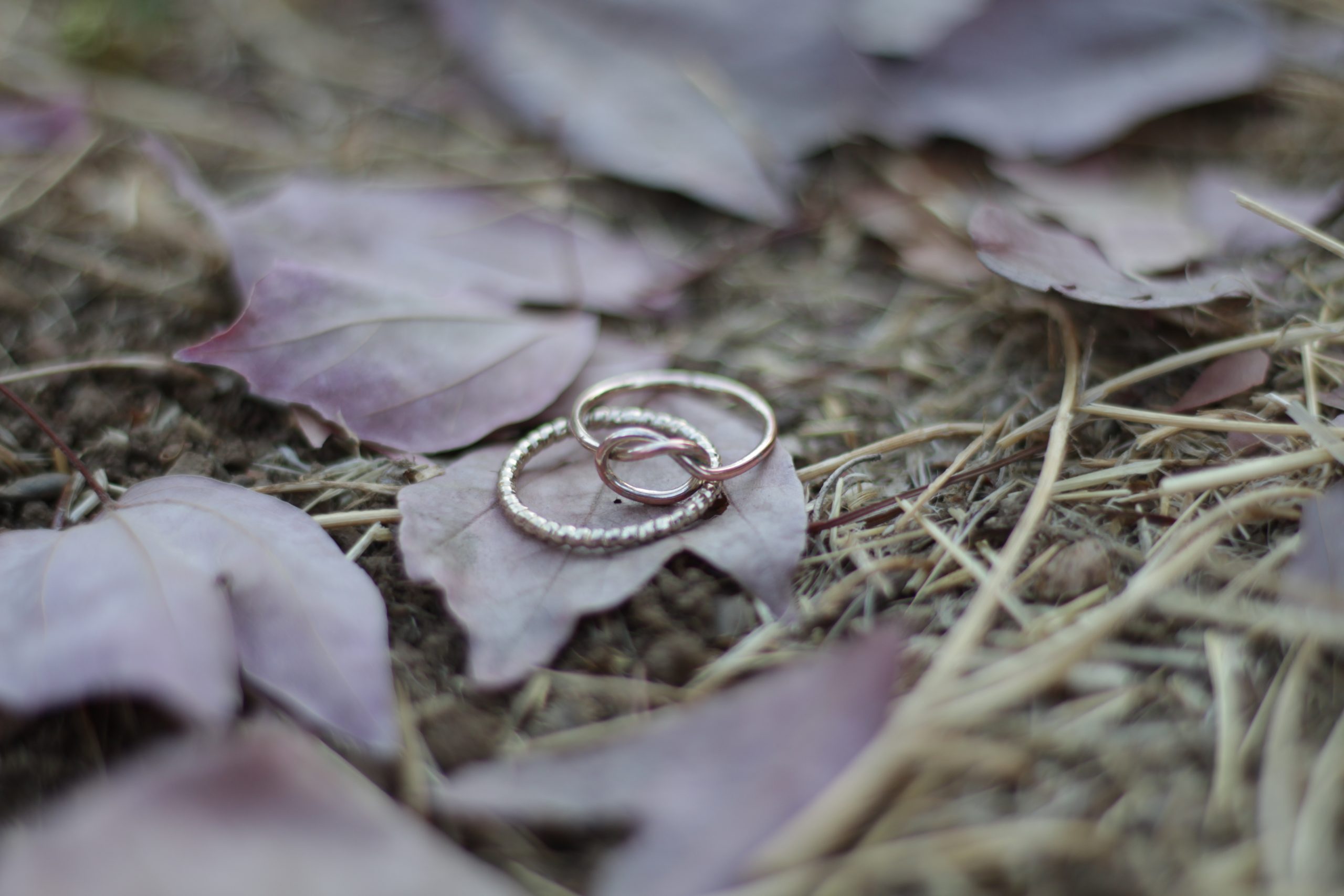 Photo of "Love Story". Photo shows two rings on some leaves on the ground of dirt. 