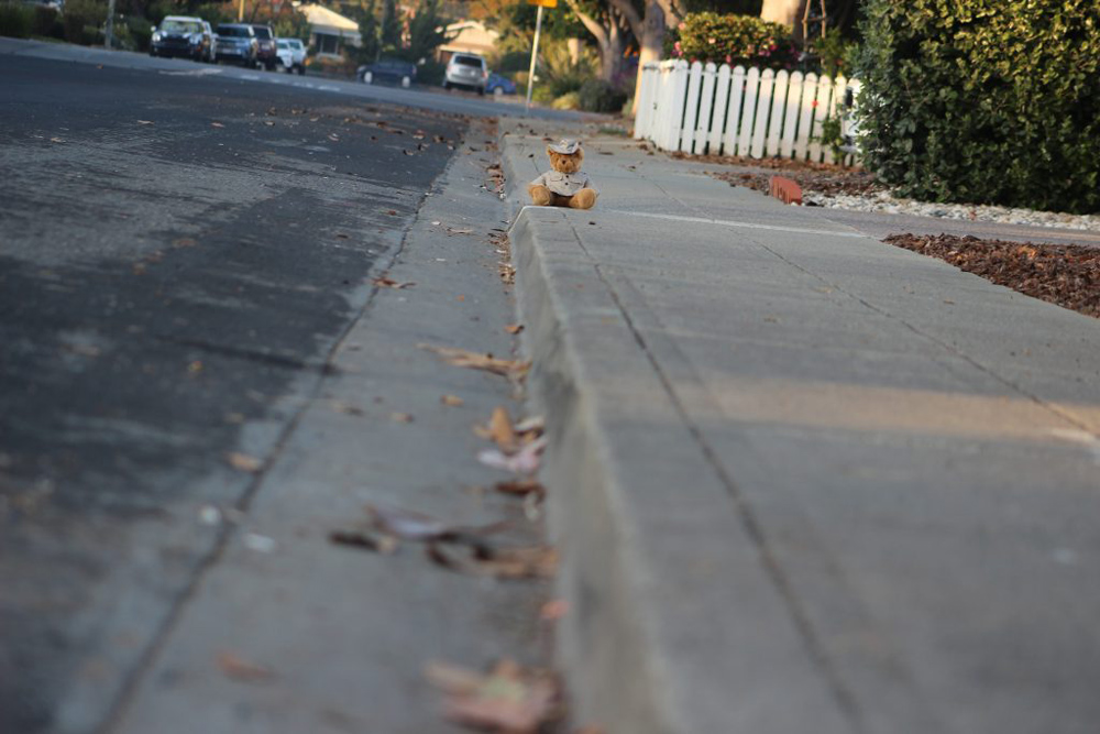 A teddy bear on the edge of the sidewalk.