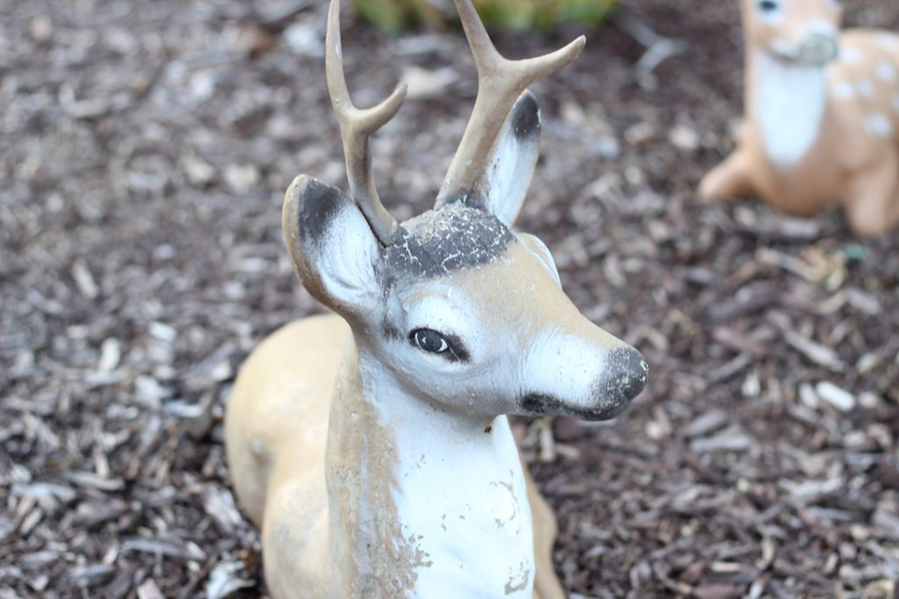 A deer garden decoration