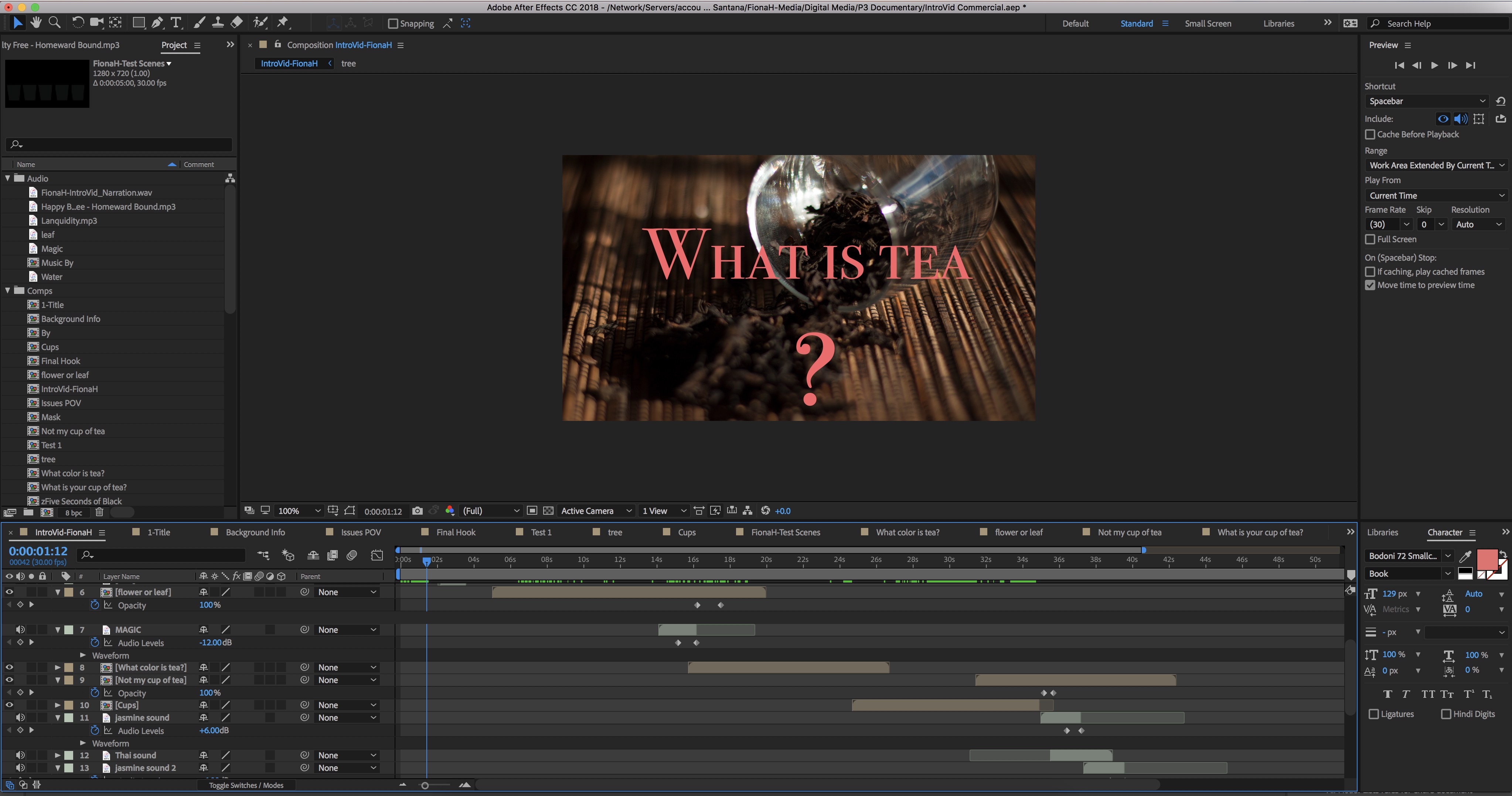 This is a screenshot of Adobe After Effects.