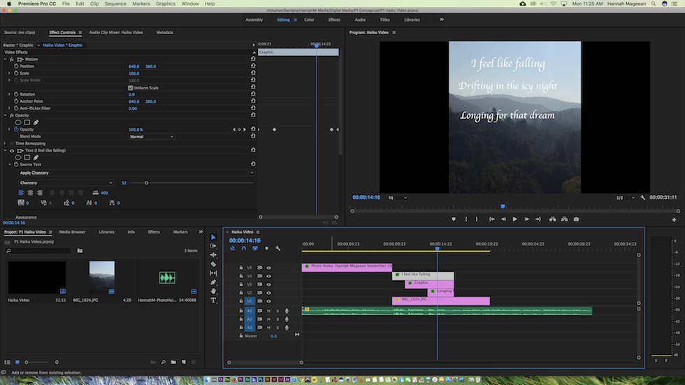 This is a screenshot of my haiku video production.