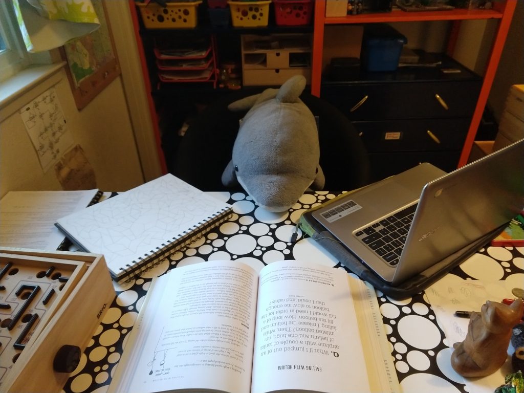 This photo is a self-portrait without myself.  The photo shows a large stuffed dolphin, seated at a desk, with a sketchbook, regular book, and chromebook.