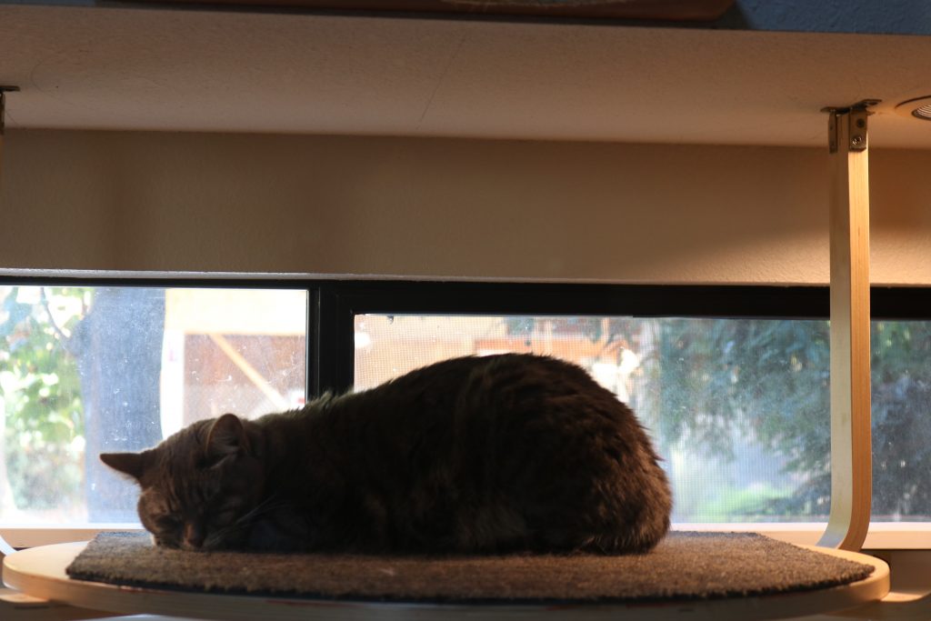 This photo shows warmth.  A cat sleeps on a platform, silhouetted against the orange-ish background.