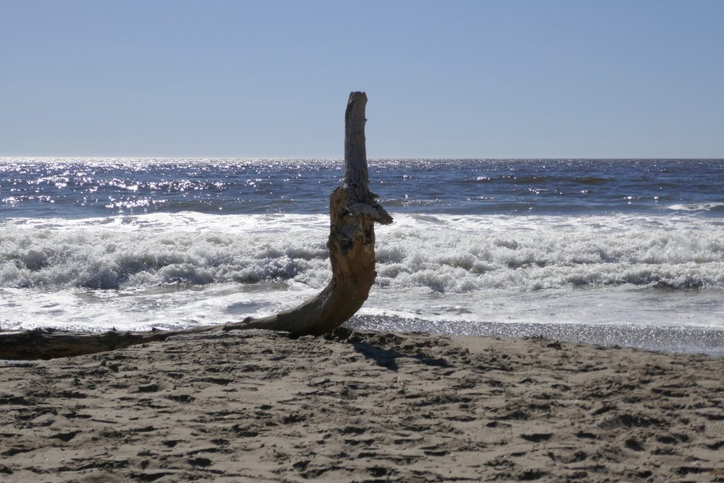 This photo shows a symmetrical landscape.  A fallen log on the beach sticks up in the center of the image, and sand, sea, and sky are evenly divided.