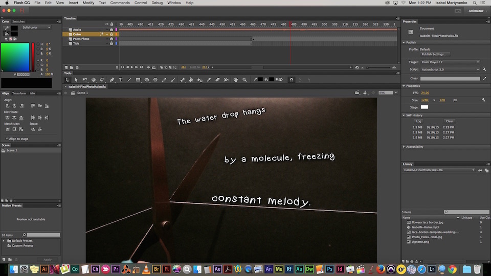 This is a screenshot of my photo haiku video being editted in Flash.