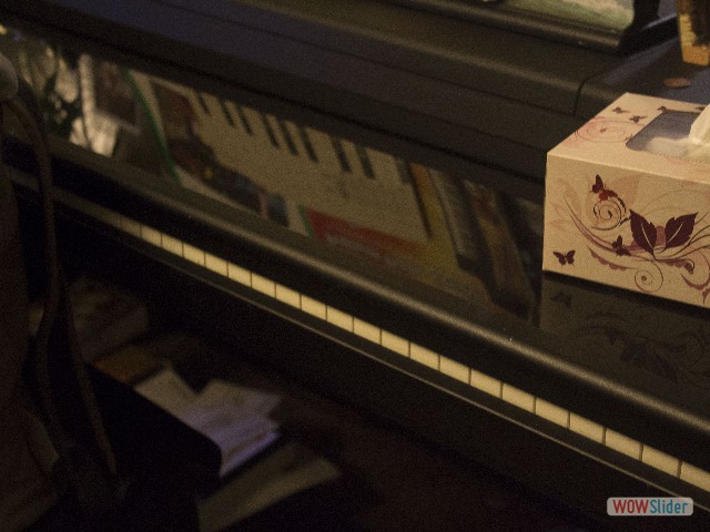 A piano sits regally at Trang Ta's home