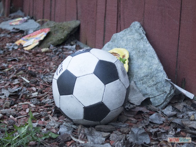 A forlorn soccerball from last spring