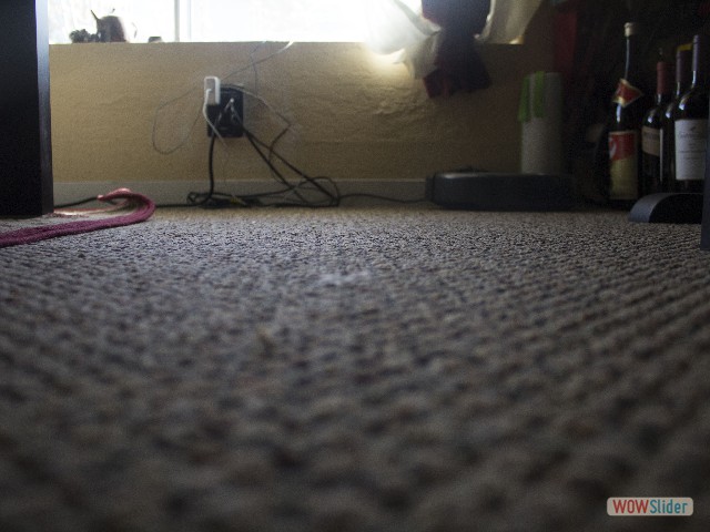 A little helper keeps the carpeting clean