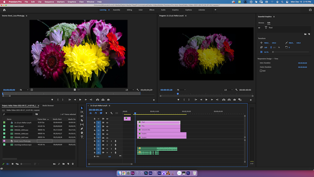 A screenshot of Adobe Premiere Pro while working on my photo haiku video