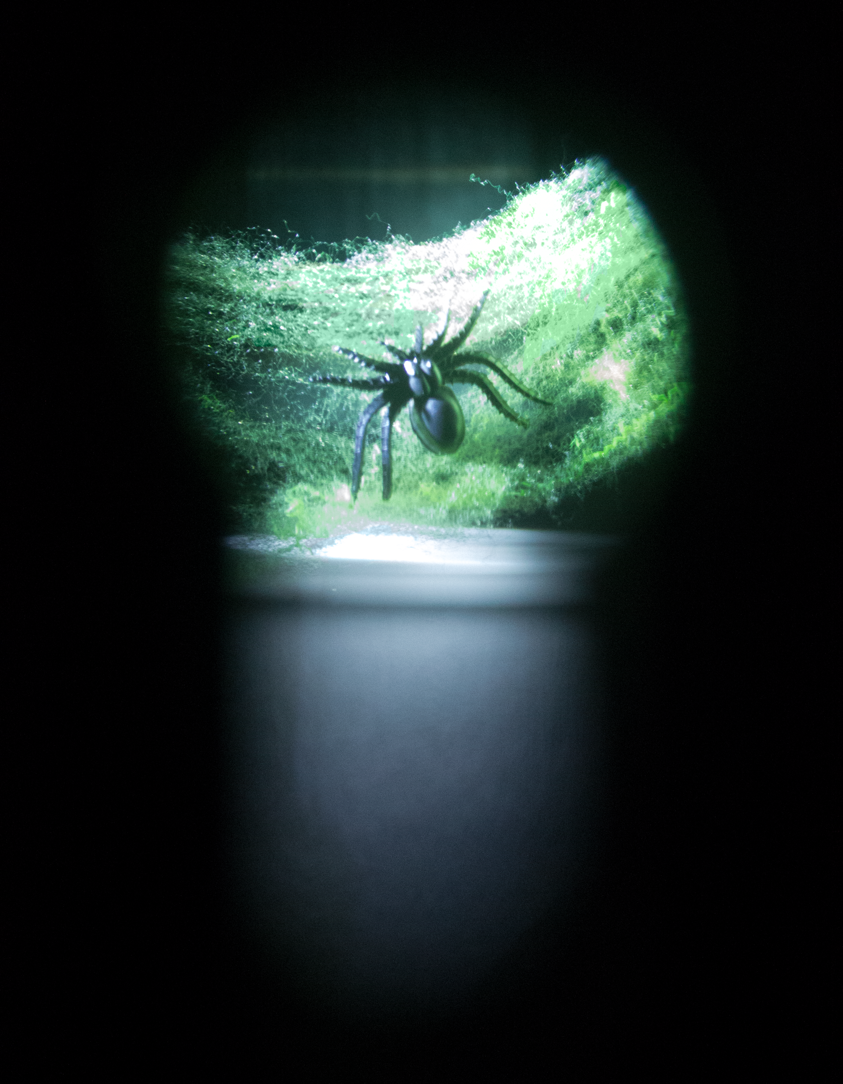 This is a photo of a spider while looking through a keyhole.