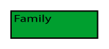 family button