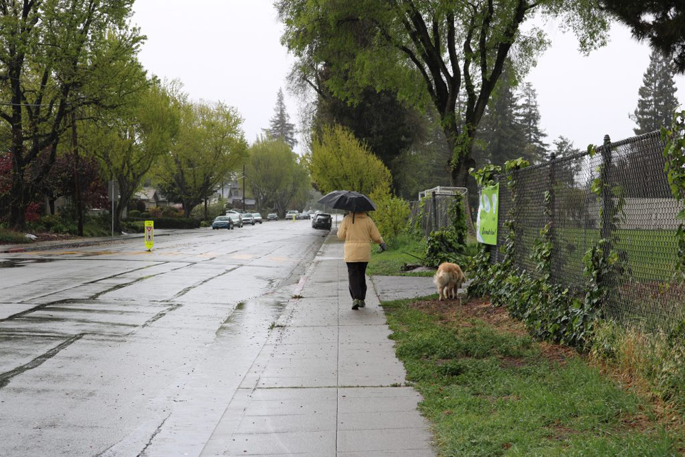 A picture of a person walking a dog while holding an umbrella.