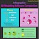 2020 Junior Infographic by AaronW