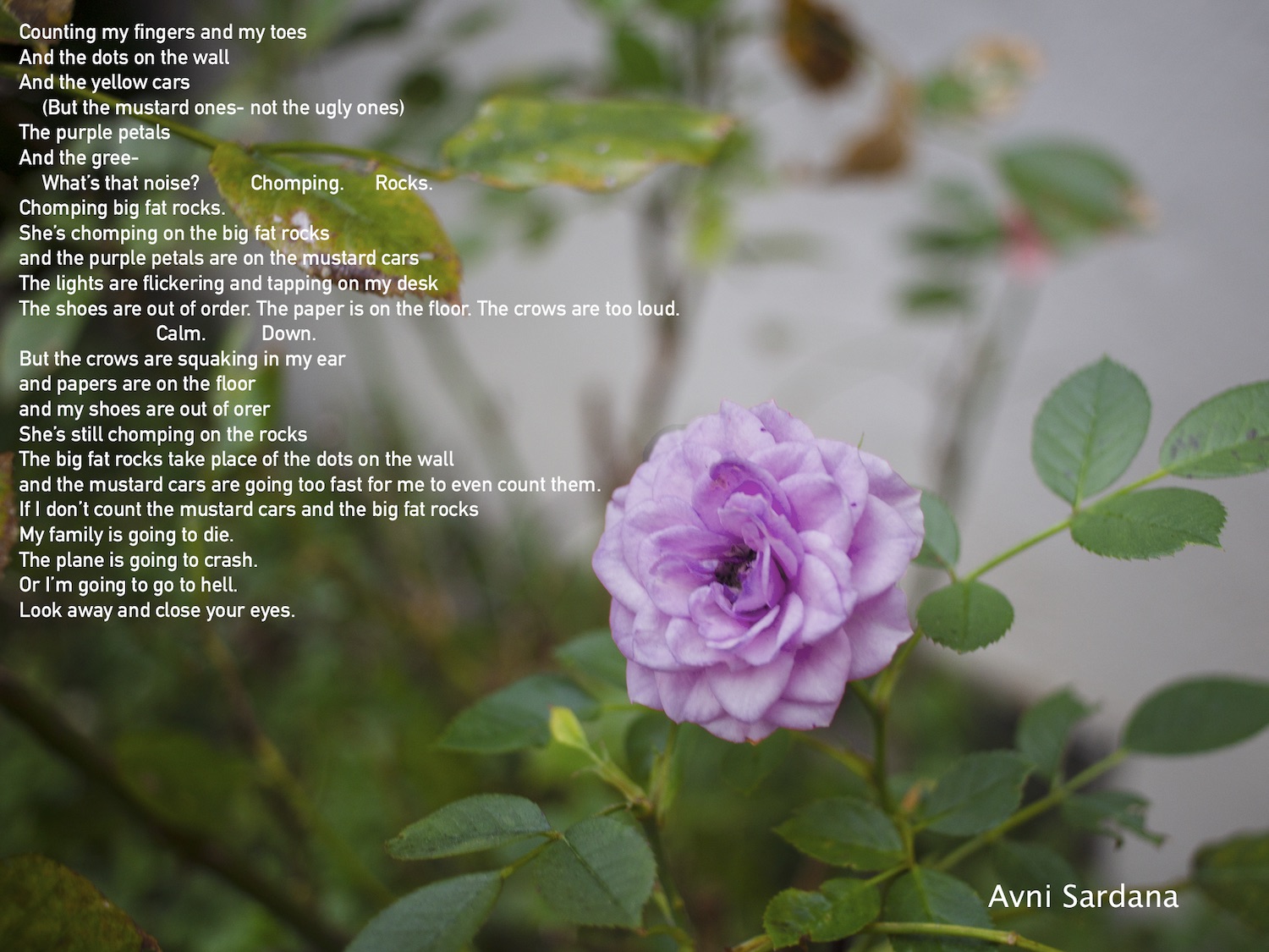 Poem by AvniS