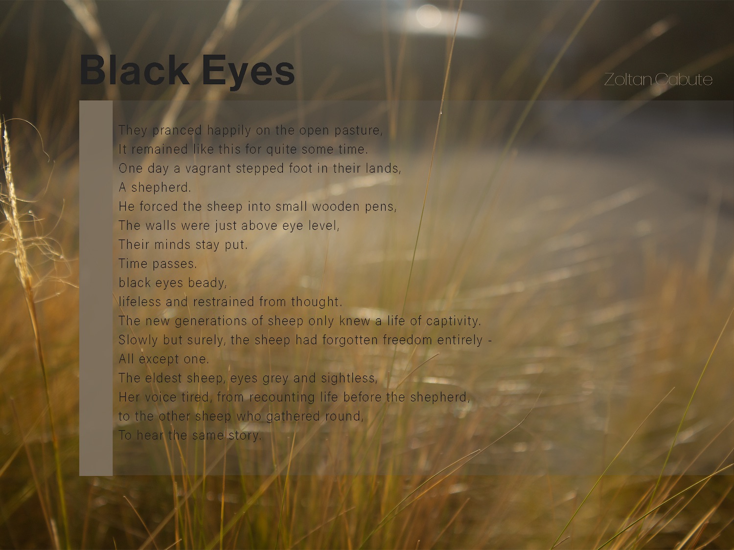 Poem by ZoltanC