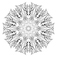 Nature Mandala: A Senior Black and White Mandala Design by Dasha Korepanova