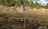 3D Asset image by JennaN