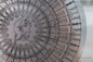 A Dove's Life: Laser Mandala by Katie Leung
