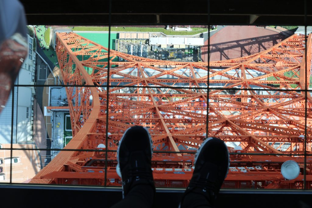 A view from the first deck of the Tokyo Tower