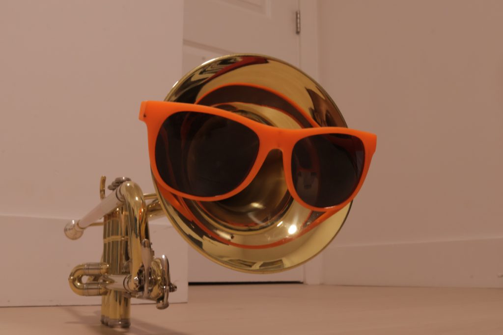 This self portrait expresses my love for music and the outdoors, with the trumpet and sunglasses, respectively. The trumpet, an instrument with the ability to be loud and prominent,  also represents the intense passion I can have with certain things.