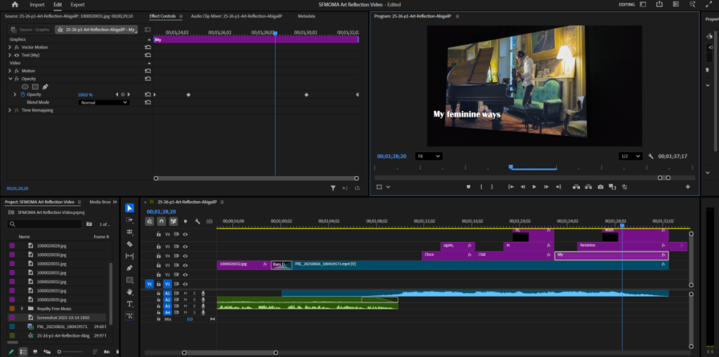 a picture of premiere pro of the finished edited video