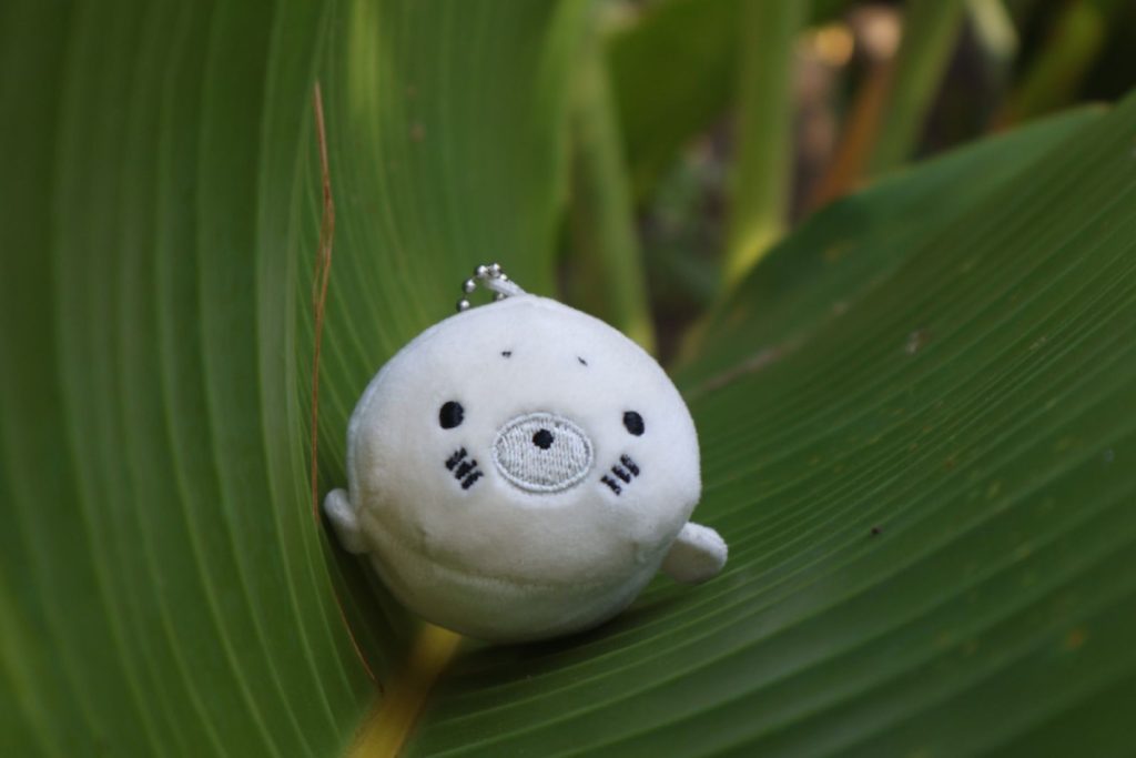 A plushie of a seal inside a big curled leaf