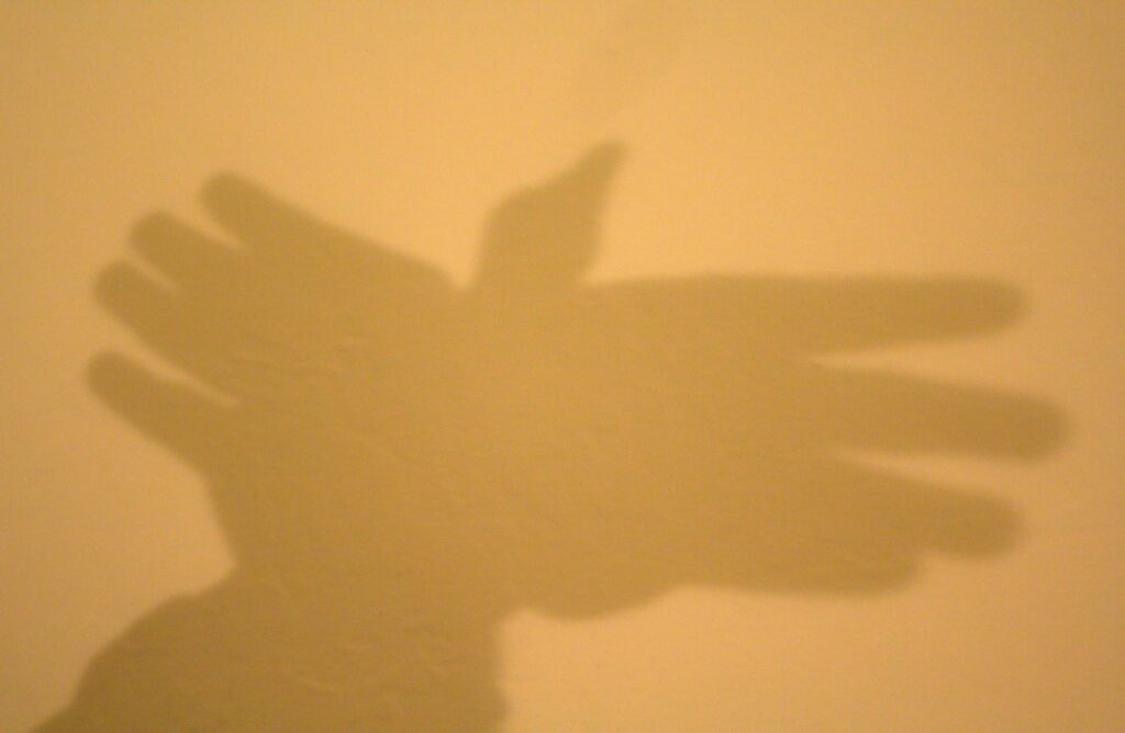 a shadow puppet of an eagle