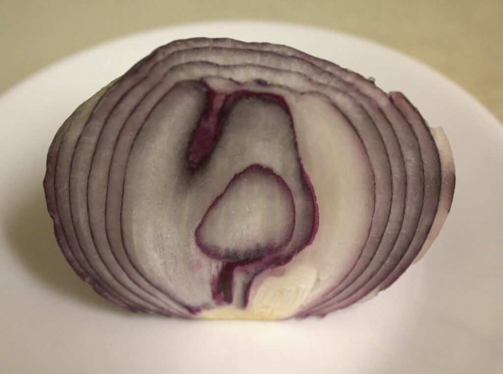a red onion sitting on a white ceramic plate
