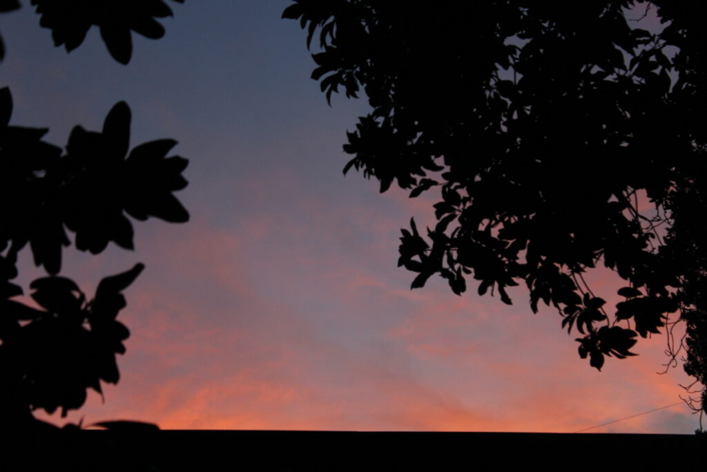 sunset with a darkening blue sky and pink-orange clouds