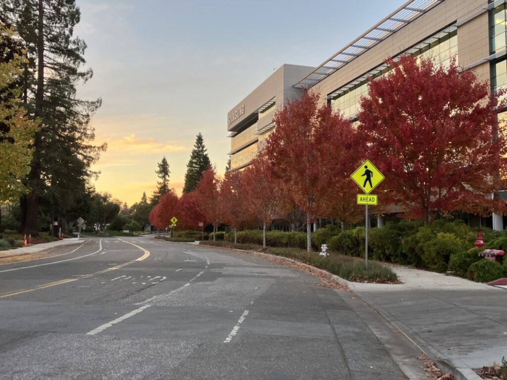 an empty road at sunset surrounded by red leaf trees