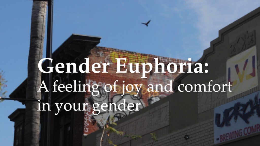 The words "Gender Euphoria: A feeling of joy and comfort in your gender" Over a picture of a graffiti-covered building with a blue sky behind it