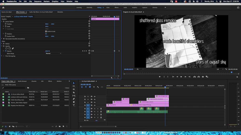 The Haiku Video in the process of being made, using the program Adobe Premiere Pro. 