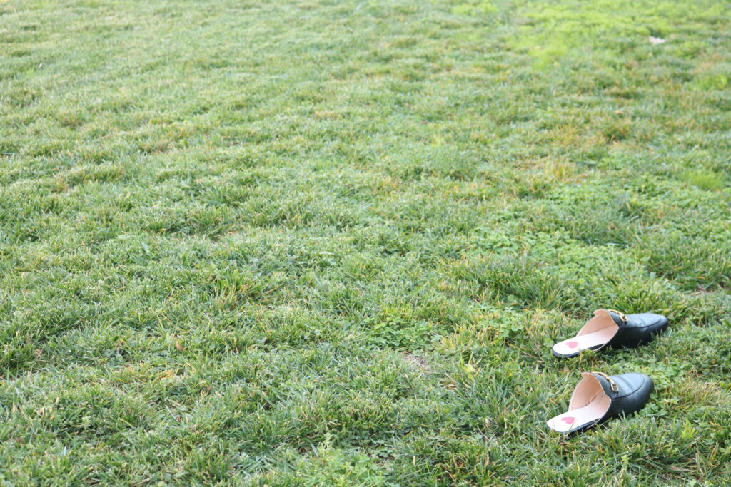 A pair of shoes in the corner of a photo of afield of grass. 
