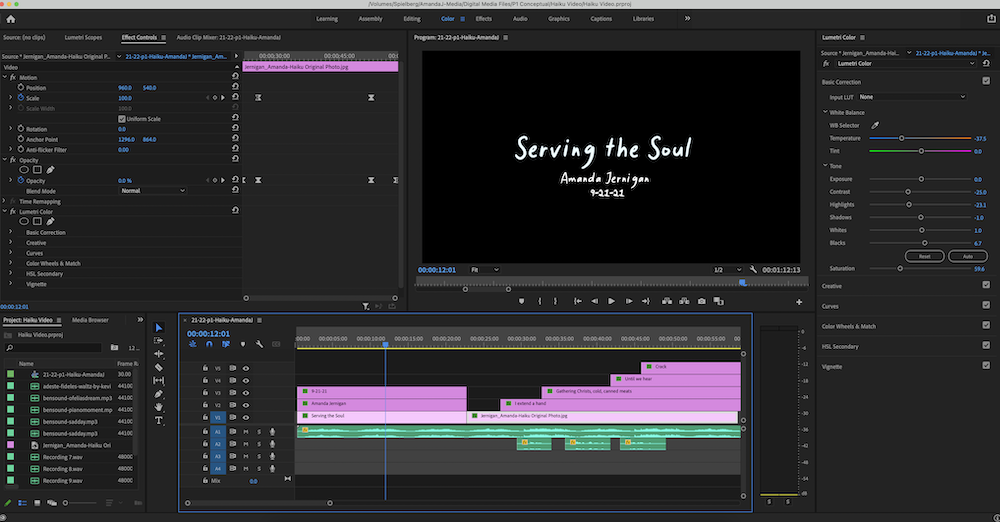 Premiere Pro Interface of the editing of my Haiku Video