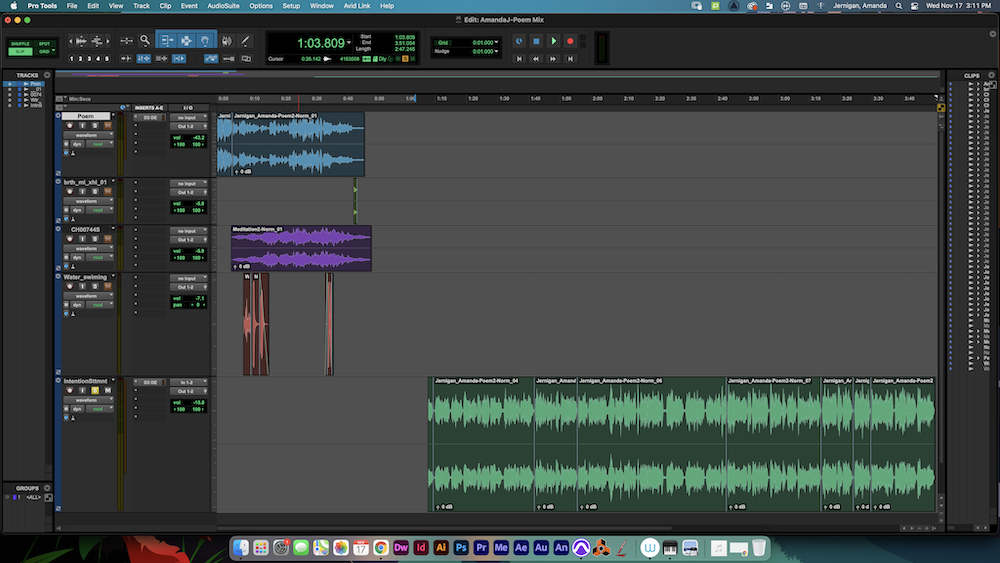 Protools interface of the editing of my poem and intention statement