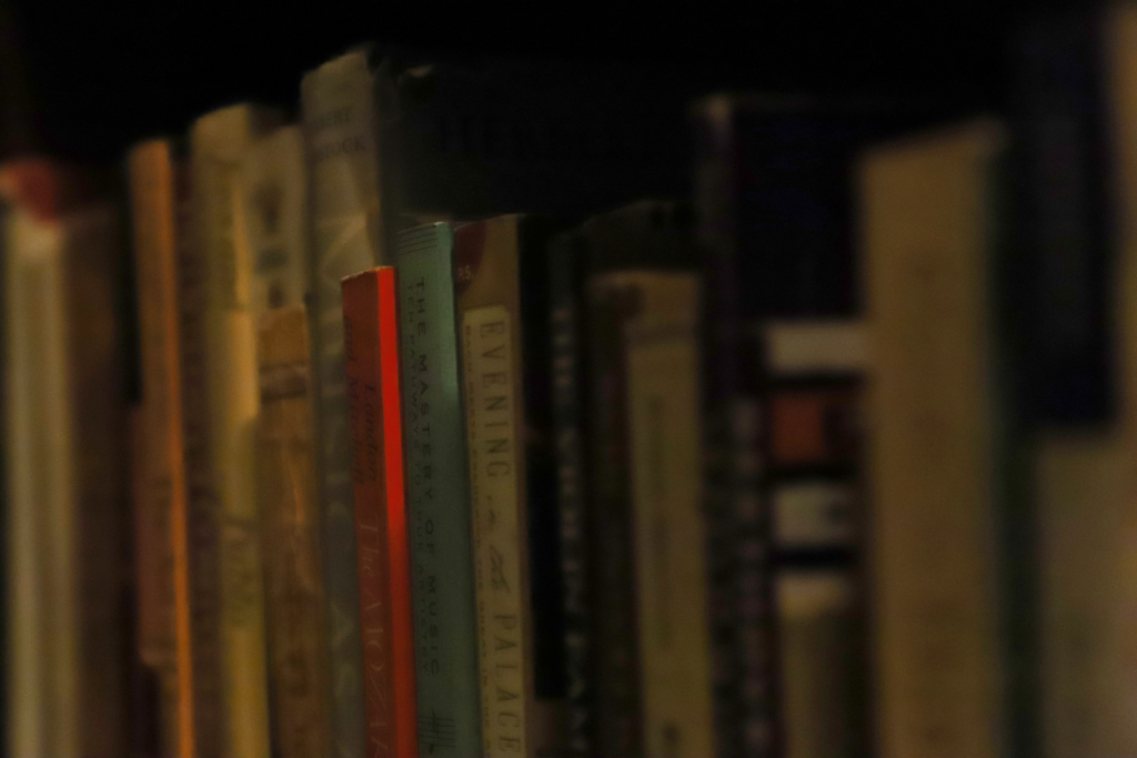 Picture of a bookshelf full of books focused on a red book