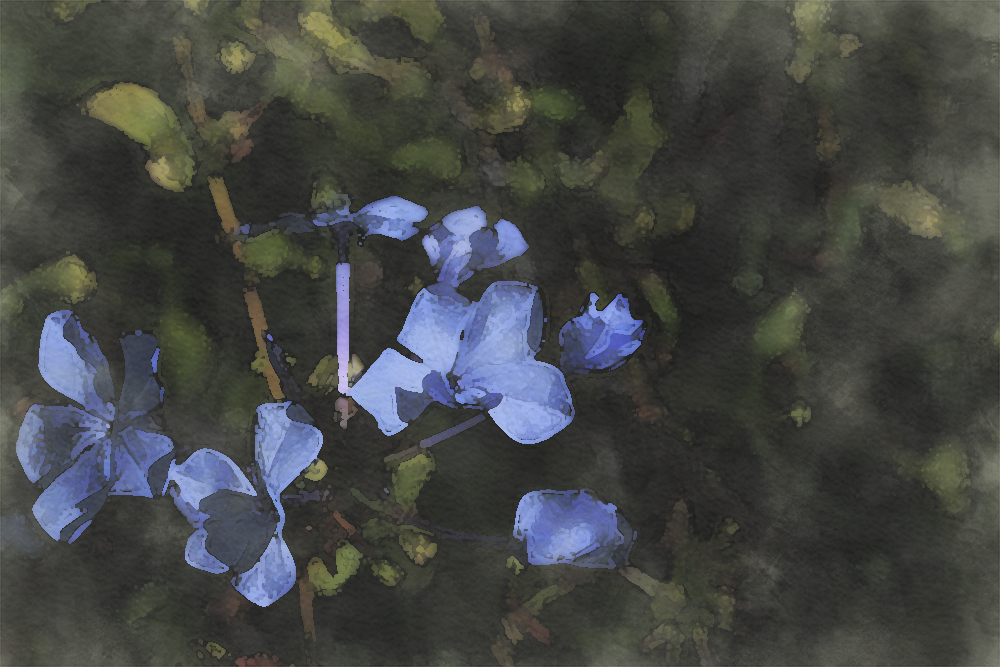 Photoshop Watercolor Painting Effect 1 - flowers