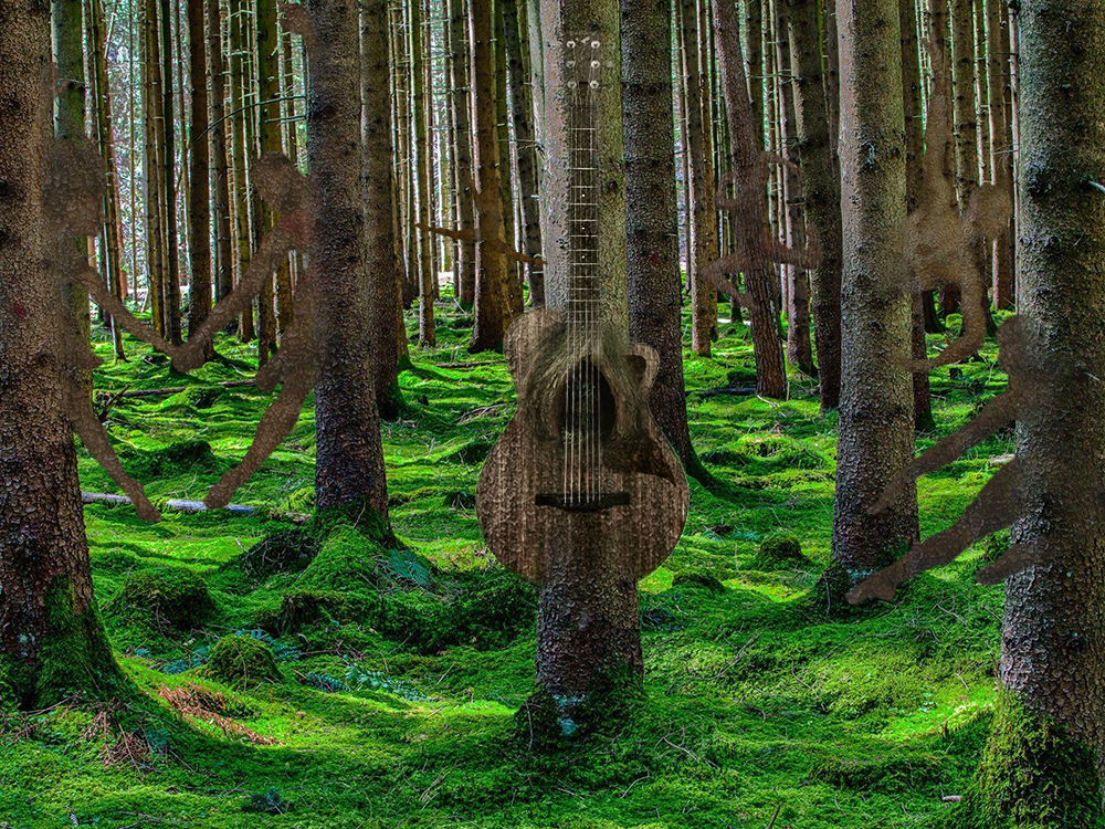 Dancing Forest Art Photo