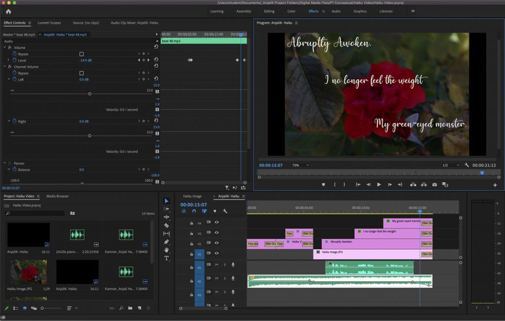 This image shows my Premiere Pro interface for my visual and audio for my photo haiku.