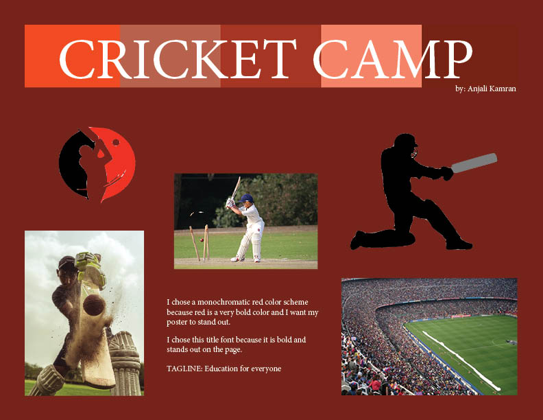 Cricket Advertisement moodboard
