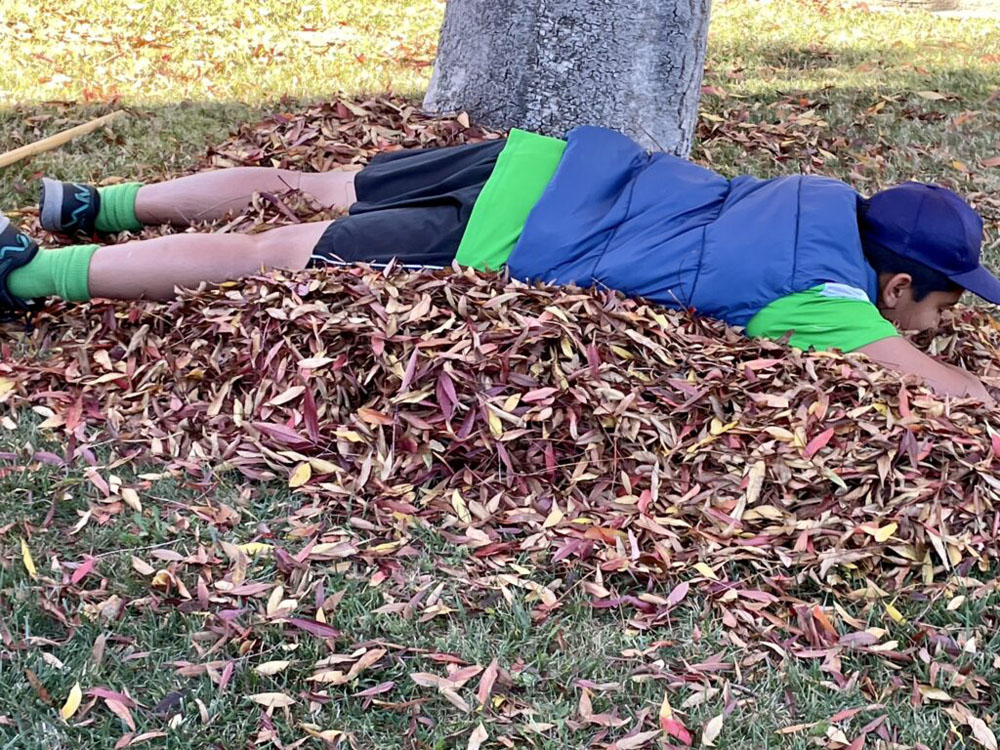 lying in a pile of leaves