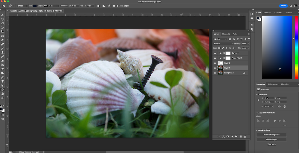 my photoshop workspace for my conceptual photo
