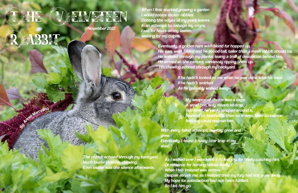 The Velveteen Rabbit - my free verse poem