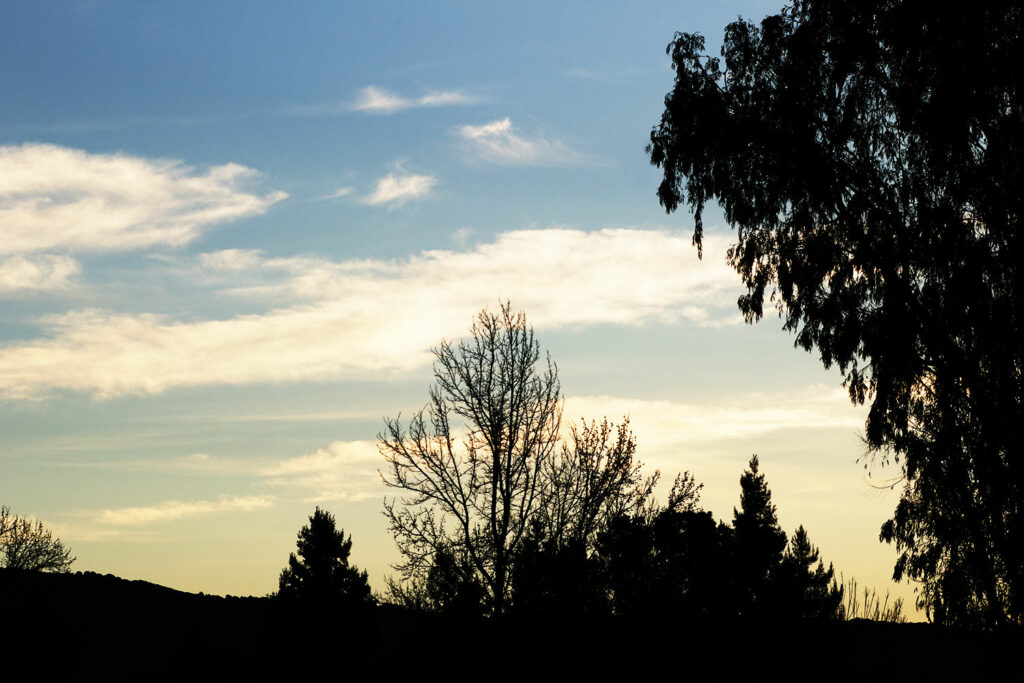 a photo of a silhouette of the horizon with some trees, clouds and the sky behind it