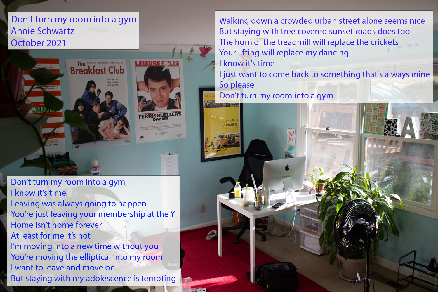 Poem by Annie Schwartz Don't turn my room into a gym
