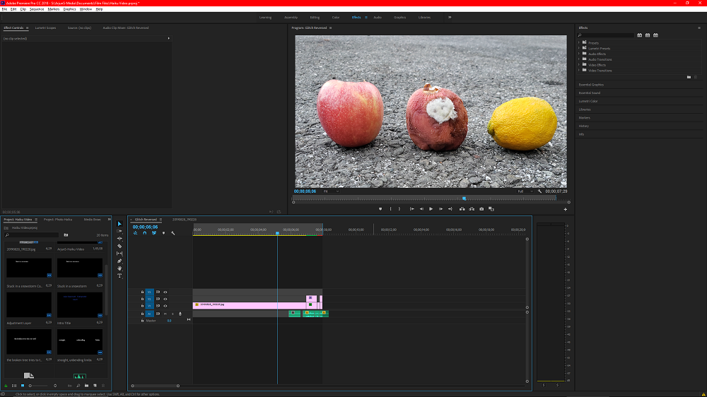 This screenshot shows the parts that were used to create my Photo Haiku video on Premiere Pro.